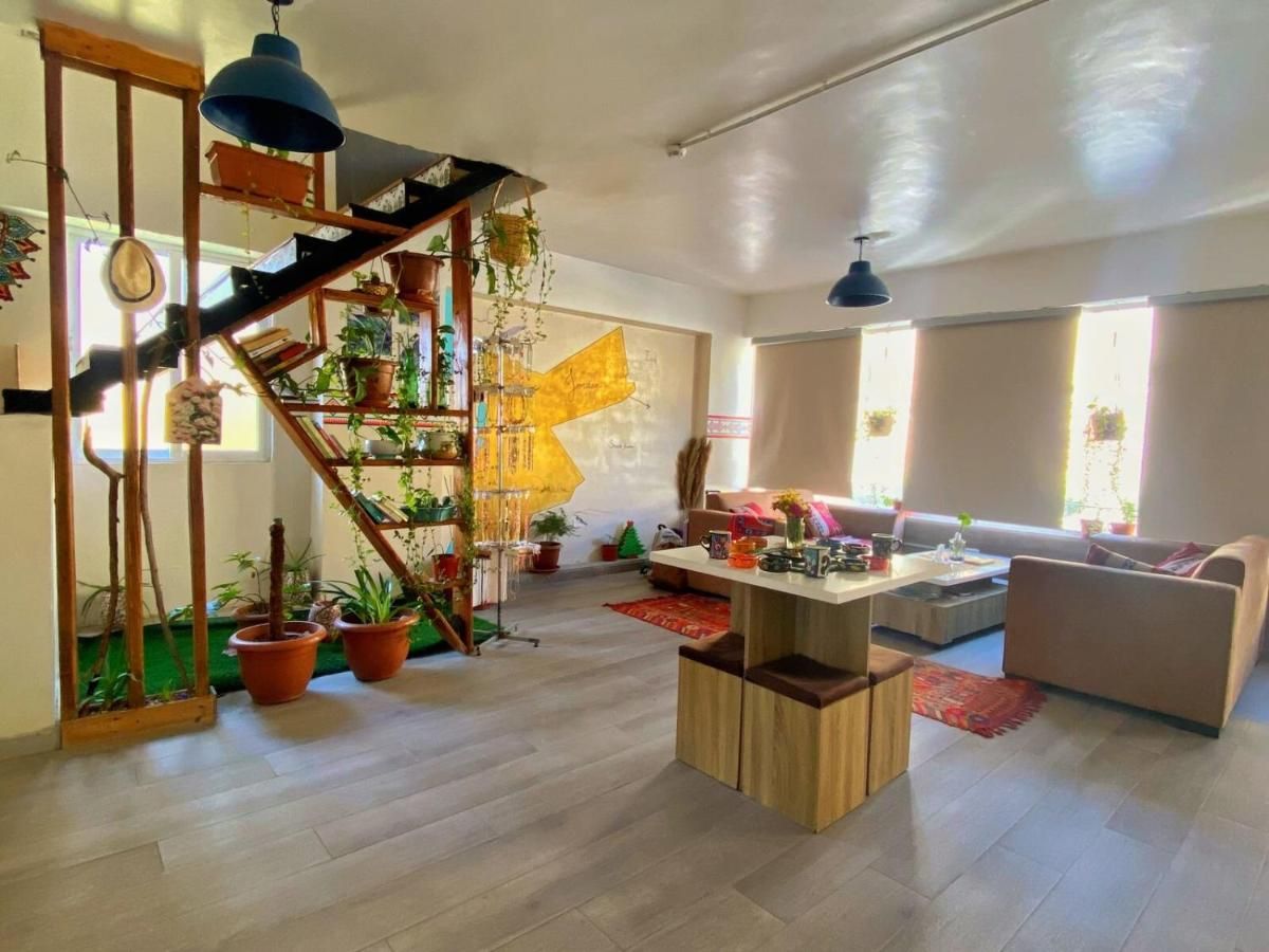 Lounge with sofas and plant-filled shelves