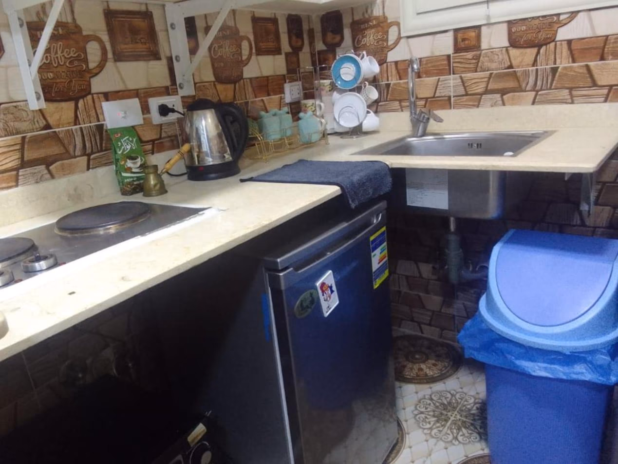Room kitchenette with hob, kettle, fridge and sink